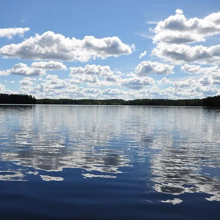 Ilmajarvi Forest Dream